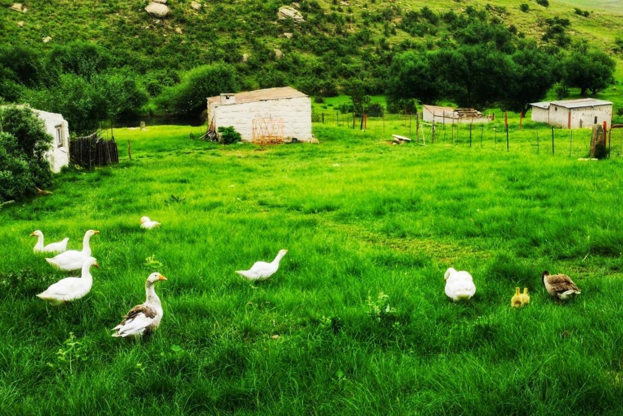 Vila Oban Historical Guest Farm Van Reenen Exteriér fotografie
